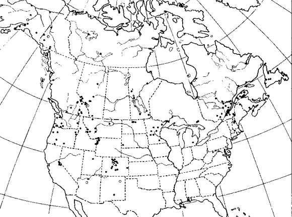 Formica neorufibarbus map from 1973