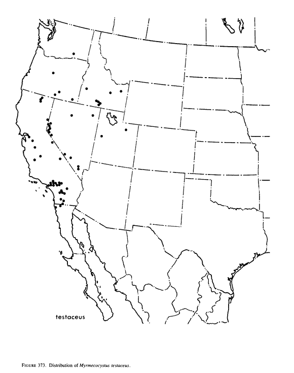 Navajo Reservation distribution map for Myrmecocystus testaceus
