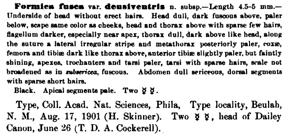 the original species description for Formica densiventris (first page)
