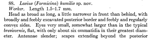the original species description for Lasius humilis (first page)