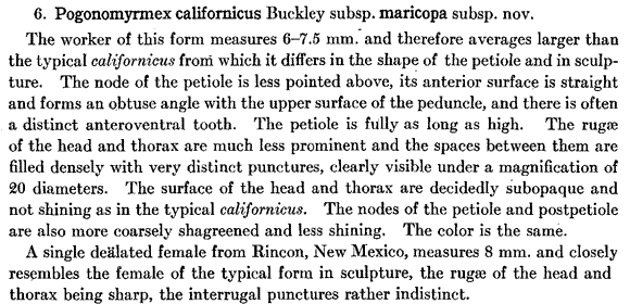 the original species description for Pogonomyrmex maricopa (first page)